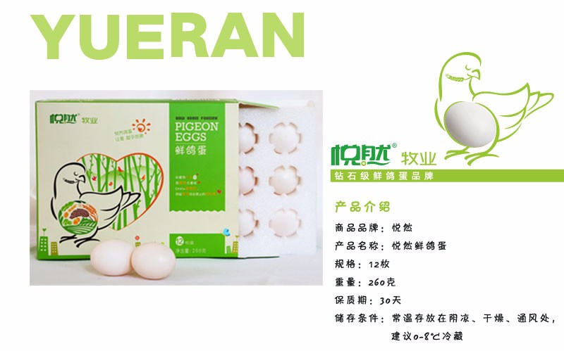 12枚裝兒童版_02