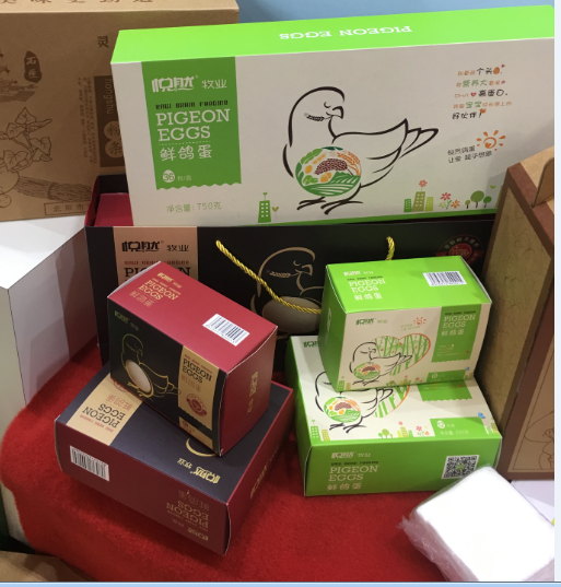 QQ圖片20161017135729